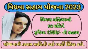 વિધવા સહાય યોજના