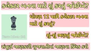 કલેક્ટર બનવા માટે શું કરવું જોઈએ? 
