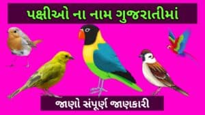 પક્ષીઓ ના નામ ગુજરાતીમાં