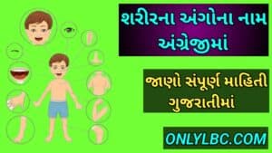શરીરના અંગોના નામ અંગ્રેજીમાં