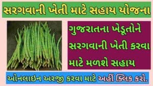 Sargvani kheti Mate Sahay Yojana