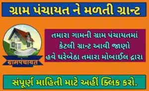 ગ્રામ પંચાયત ને મળતી ગ્રાન્ટ