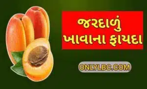 જરદાળુ ના ફાયદા