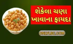 શેકેલા ચણા ખાવાના ફાયદા