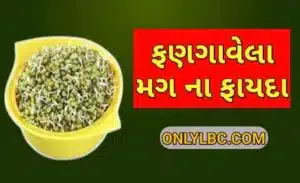ફણગાવેલા મગ ના ફાયદા