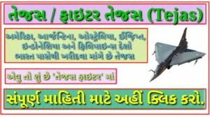 Tejas Fighter Jet