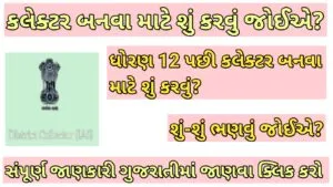 કલેક્ટર બનવા માટે શું કરવું જોઈએ? 