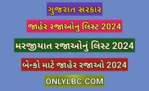જાહેર રજા લિસ્ટ 
