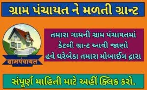 ગ્રામ પંચાયત ને મળતી ગ્રાન્ટ