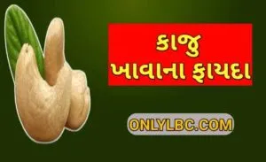 કાજુ ખાવાના ફાયદા